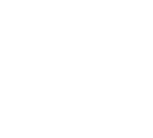 logo ibiza