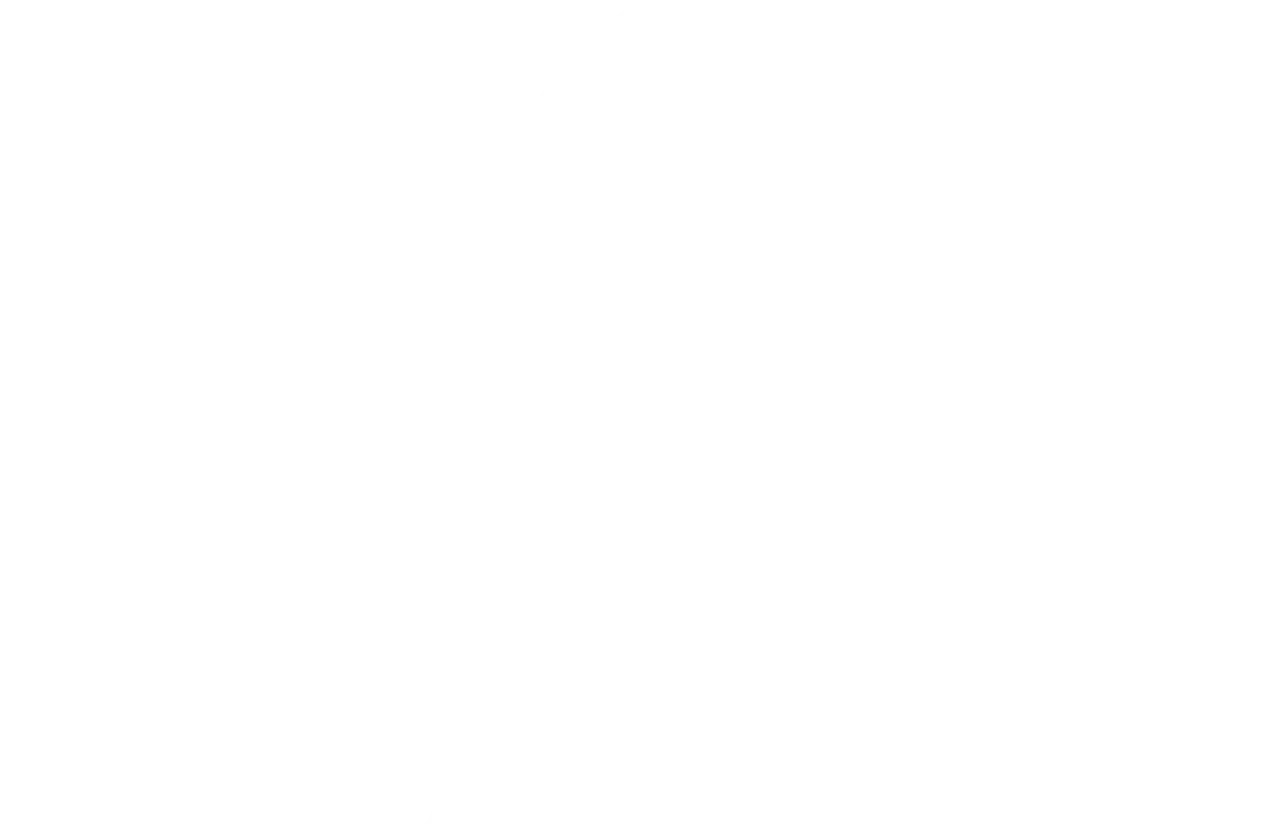 logo natura