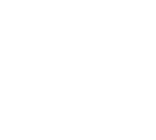 logo pnueva