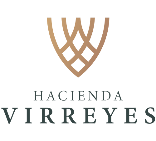 logo virreyes