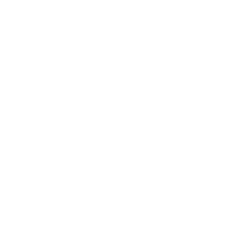 logo virreyes